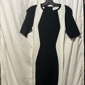 A.L.C. Elegant Black and White Women's Dress NWOT